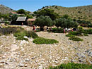 Excursion to National park Kornati by boat Bolivar