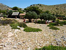 Escursione in Parco nazionale Kornati in barca Galeb
