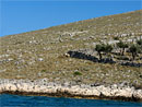 Ausflug nach Nationalpark Kornati mit dem Schiff Visko